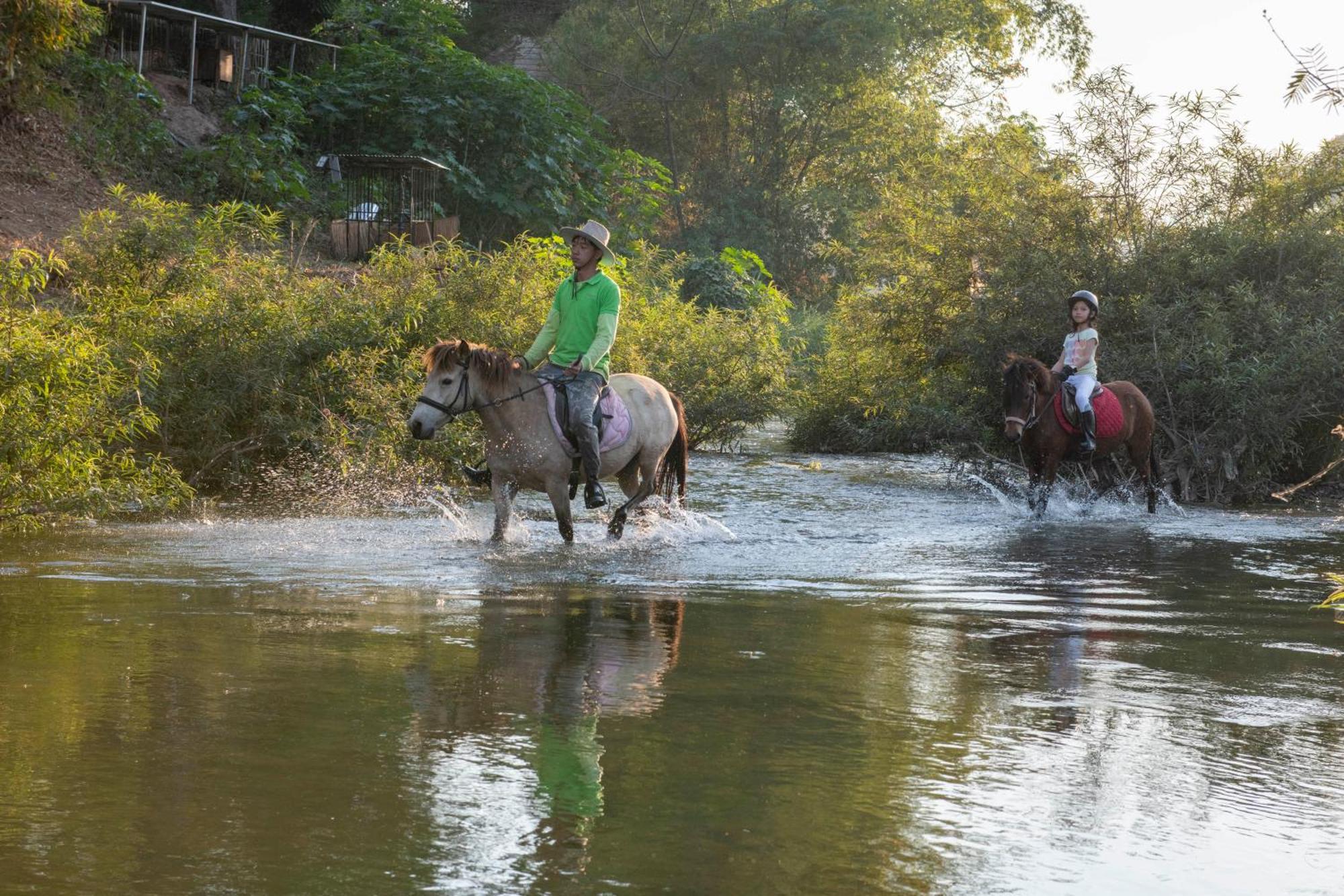 Namkhan Horses Stables หลวงพระบาง ภายนอก รูปภาพ