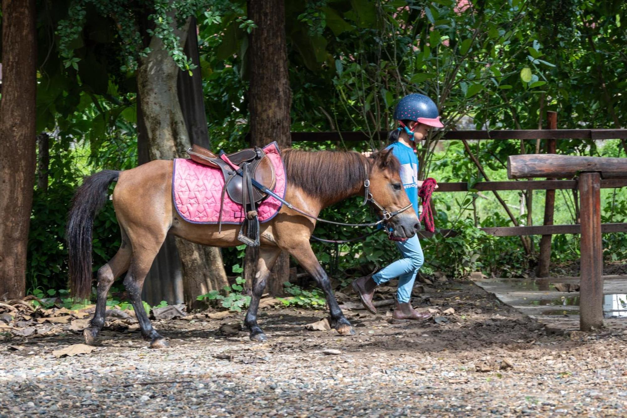 Namkhan Horses Stables หลวงพระบาง ภายนอก รูปภาพ