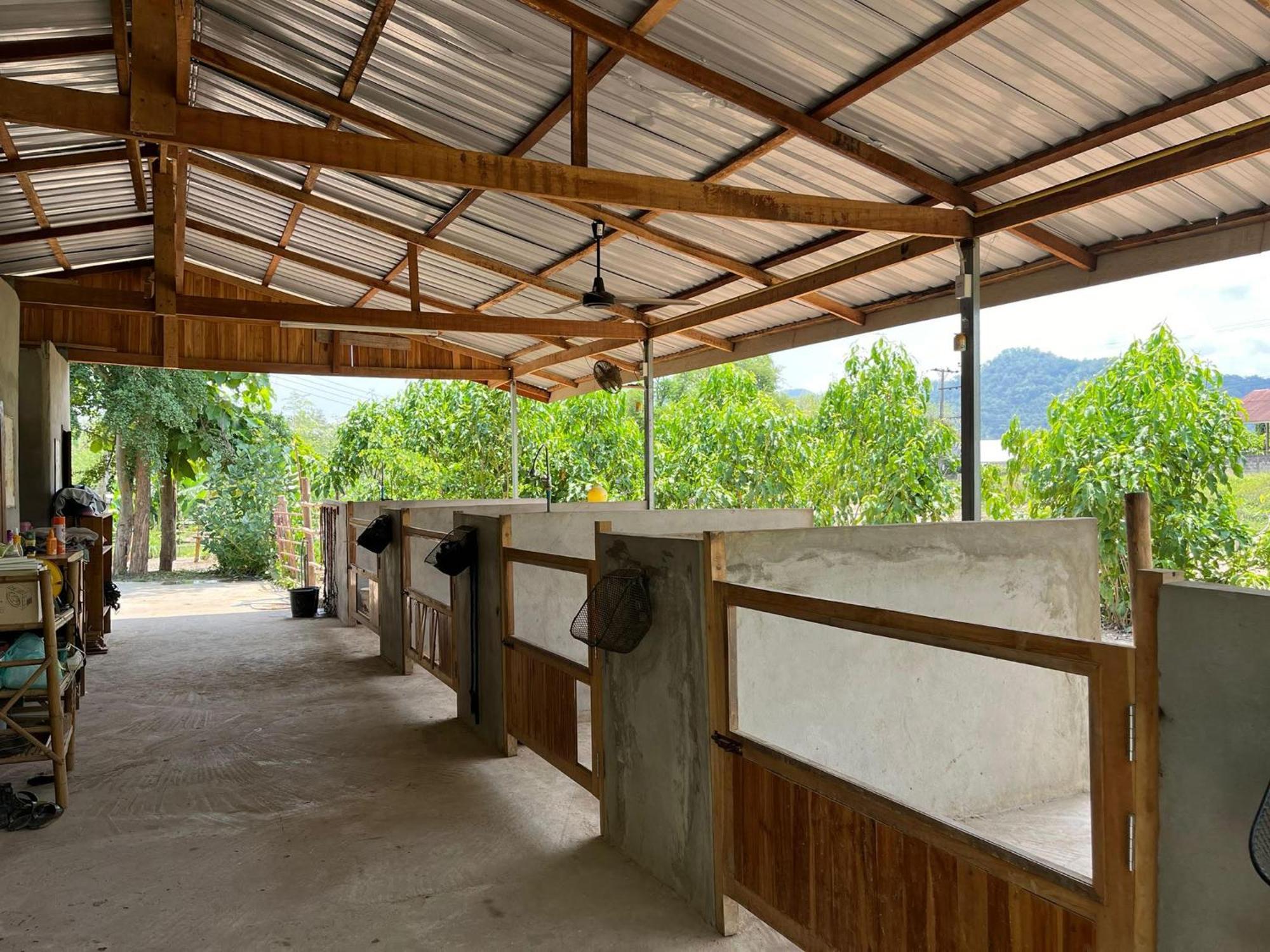 Namkhan Horses Stables หลวงพระบาง ภายนอก รูปภาพ